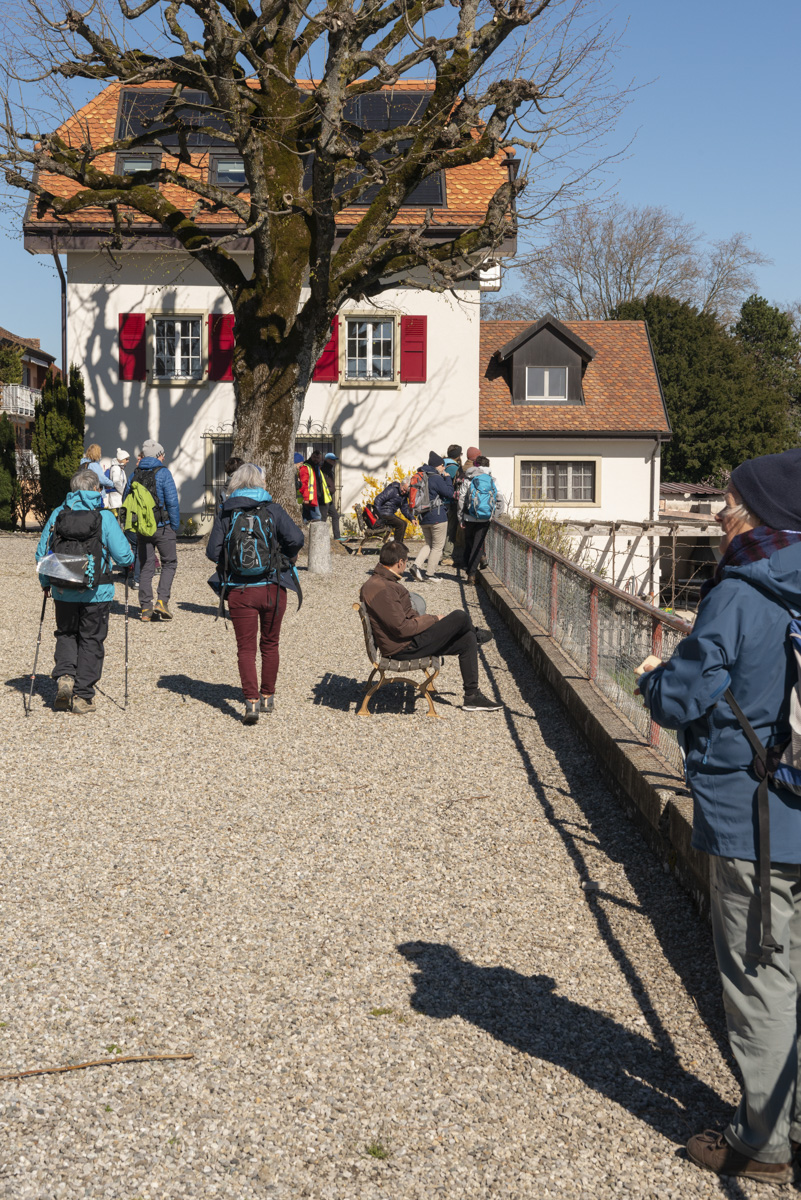 LMB_0404_109