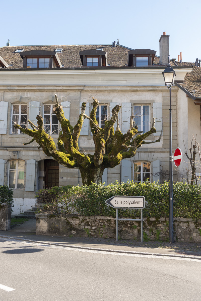 LMB_0404_115