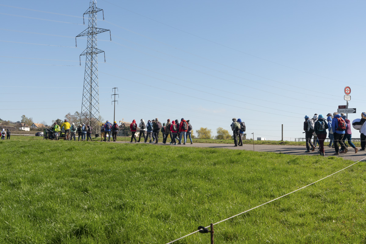 LMB_0404_20