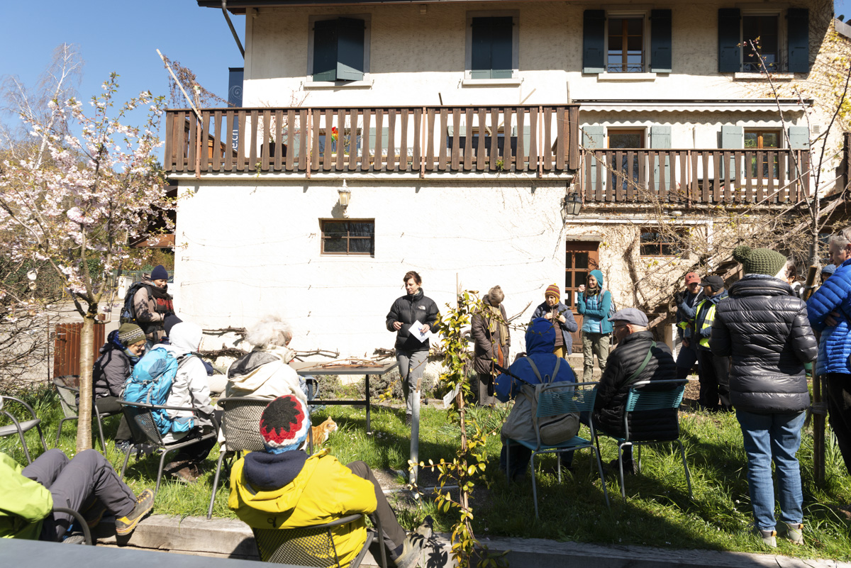 LMB_0404_39