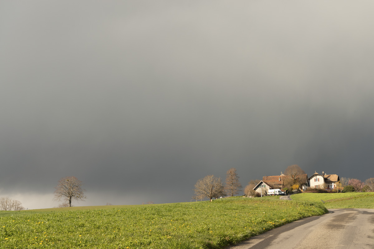 LMB_0704_35_1
