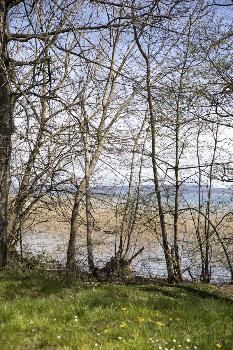 Mathilde_Widmann_Marche_Bleue_23_04_14_OC9A0072