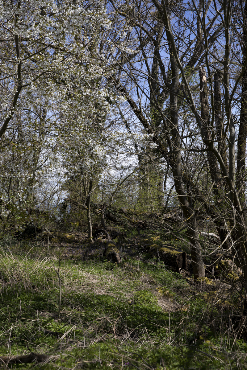 Mathilde_Widmann_Marche_Bleue_23_04_14_OC9A0091