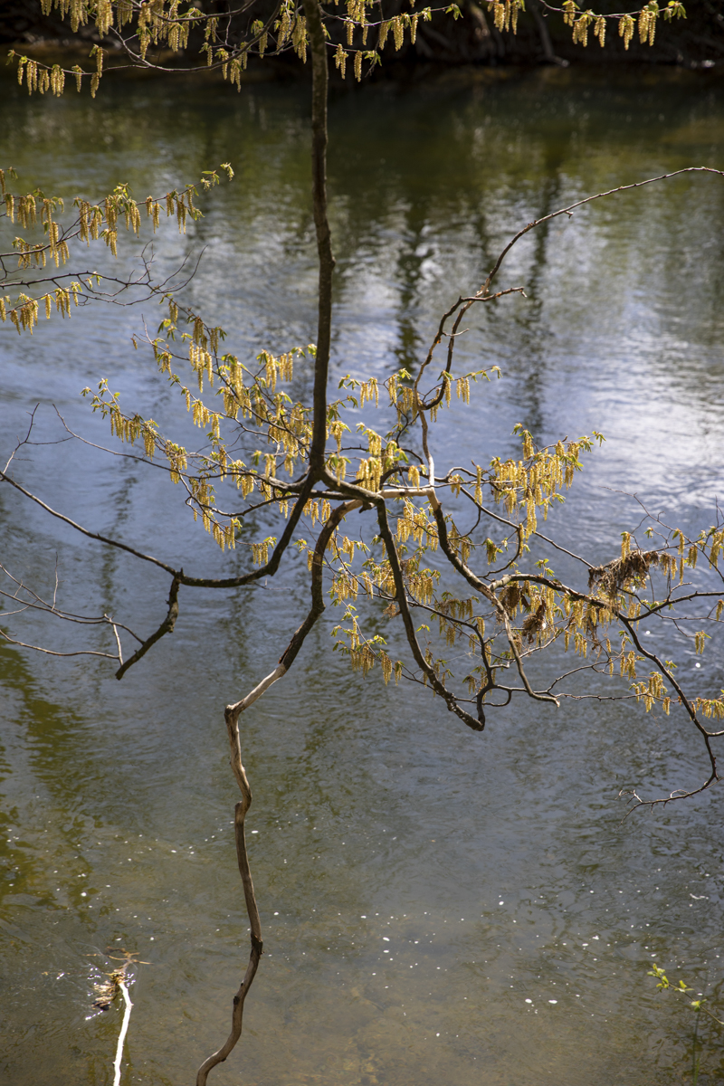 Mathilde_Widmann_Marche_Bleue_23_04_14_OC9A0274