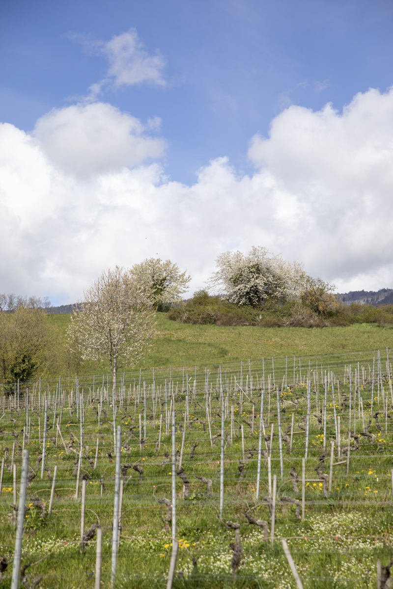 Mathilde_Widmann_Marche_Bleue_23_04_14_OC9A9492