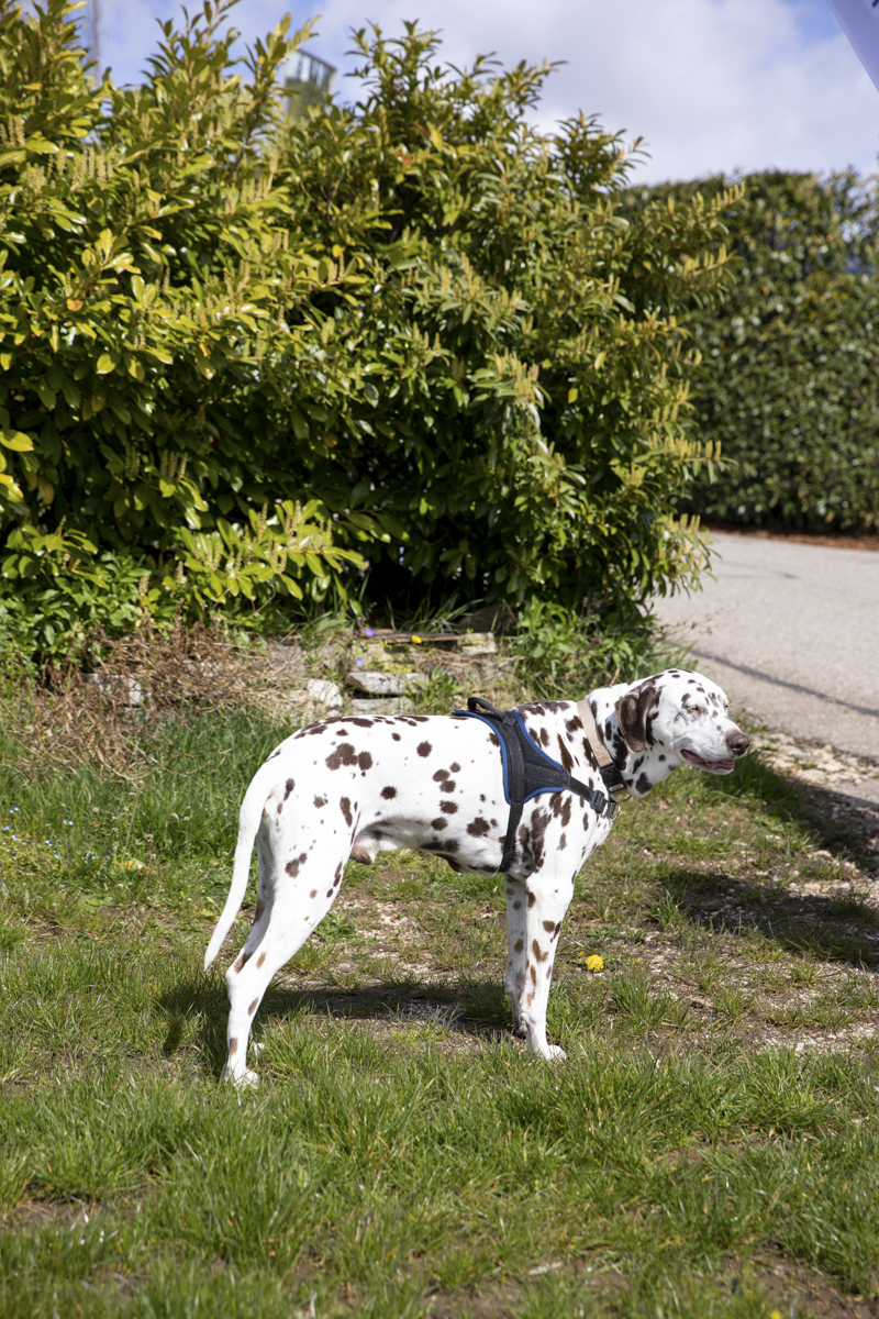 Mathilde_Widmann_Marche_Bleue_23_04_14_OC9A9529