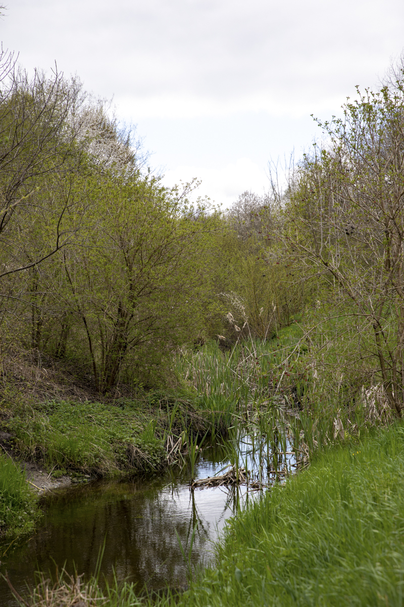 Mathilde_Widmann_Marche_Bleue_23_04_17_OC9A1383