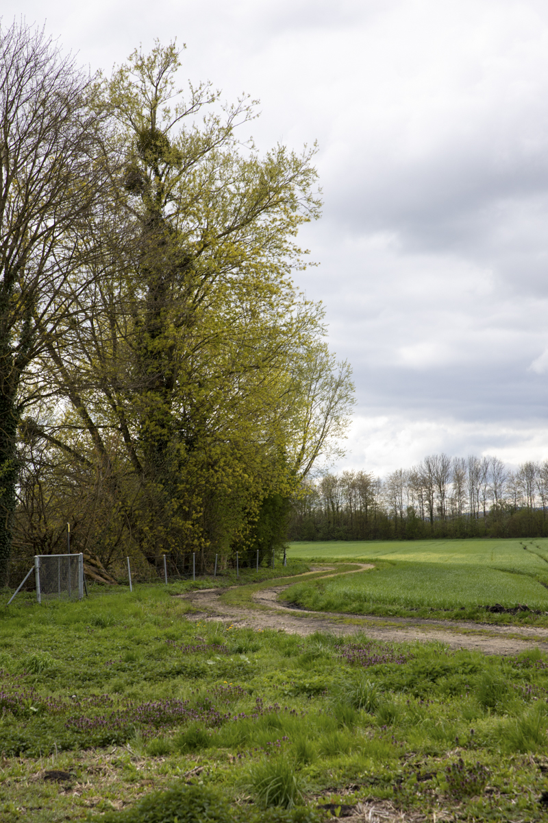 Mathilde_Widmann_Marche_Bleue_23_04_17_OC9A1404