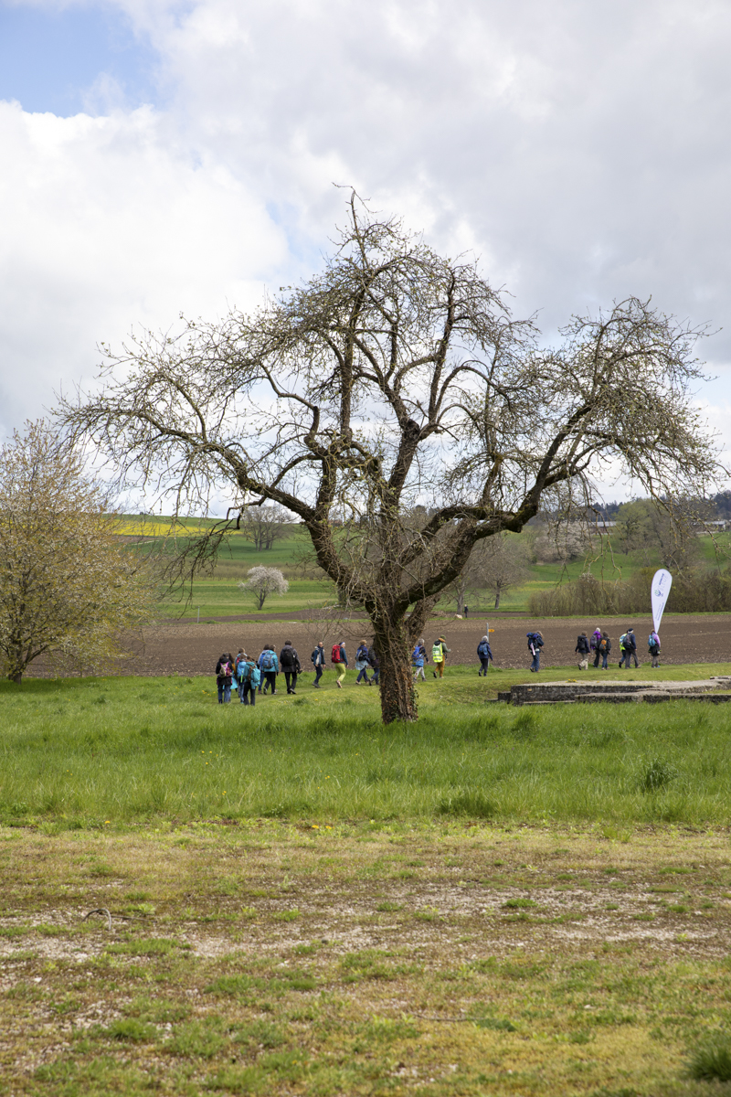 Mathilde_Widmann_Marche_Bleue_23_04_17_OC9A1480