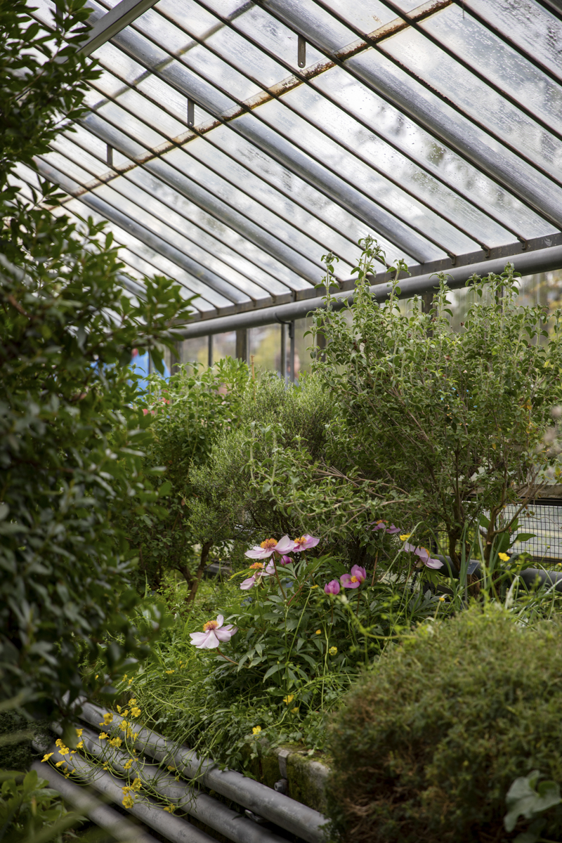 Mathilde_Widmann_Marche_Bleue_23_04_22_OC9A1972